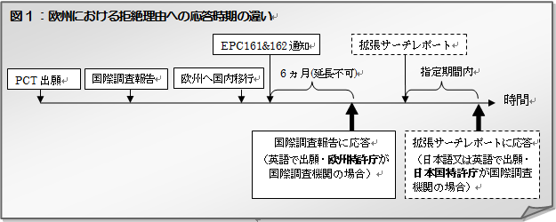 欧州における拒絶理由への応答時期の違い